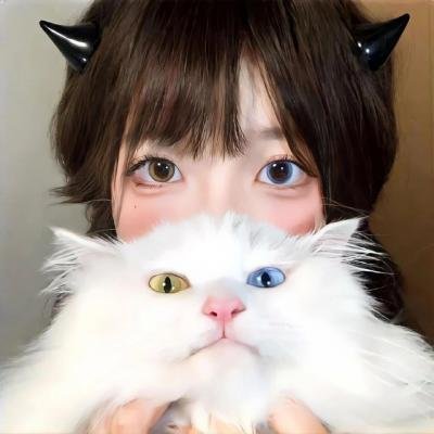 猫片之无喵生还